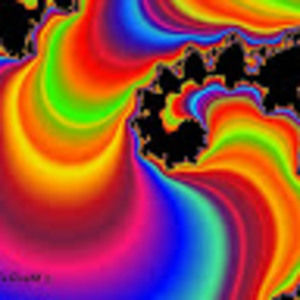 Meet your Posher, Terry